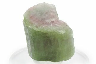 Bicolor Elbaite Watermelon Tourmaline - Afghanistan #354933