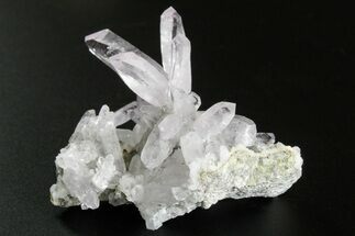 Attractive Amethyst Crystal Cluster - Las Vigas, Mexico #355007