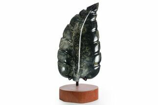 Polished Dark Kambaba Jasper Leaf with Stand - Madagascar #355274