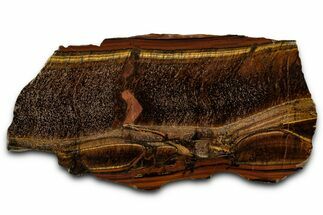 Polished Tiger's Eye Slab - South Africa #355289