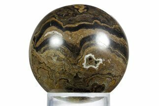 Polished Stromatolite (Greysonia) Sphere - Bolivia #355366