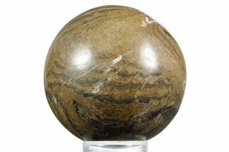 Polished Stromatolite (Greysonia) Sphere - Bolivia #355367