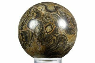 Polished Stromatolite (Greysonia) Sphere - Bolivia #355369
