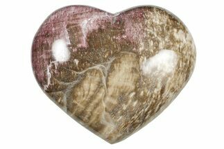 Polished Triassic Petrified Wood Heart - Madagascar #355576
