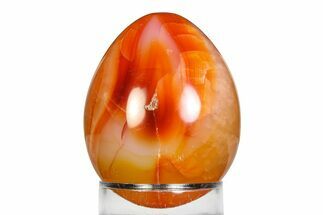 Vibrant Polished Carnelian Agate Egg - Madagascar #355465