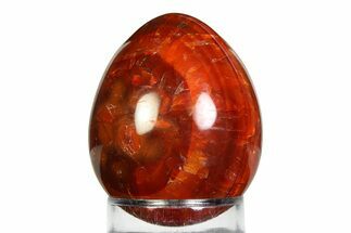 Vibrant Polished Carnelian Agate Egg - Madagascar #355468