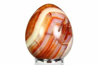 Vibrant Polished Carnelian Agate Egg - Madagascar #355480