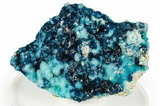 Vibrant Blue Veszelyite Crystals on Hemimorphite - Congo #355923
