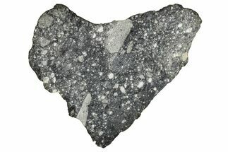 Polished Lunar Meteorite ( g) Slice - Aridal #355988