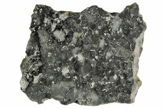 Polished Lunar Meteorite ( g) Slice - Adrar #355992