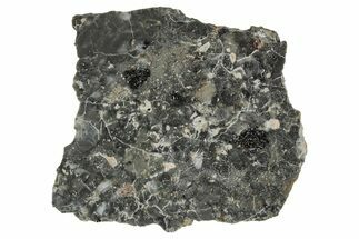 Polished Lunar Meteorite ( g) Slice - Adrar #355995