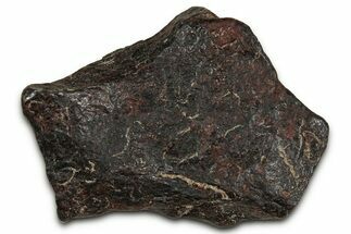 Canyon Diablo Iron Meteorite ( g) - Arizona #356016