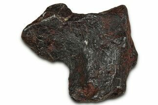 Canyon Diablo Iron Meteorite ( g) - Arizona #356031