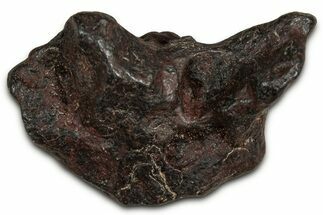 Canyon Diablo Iron Meteorite ( g) - Arizona #356037