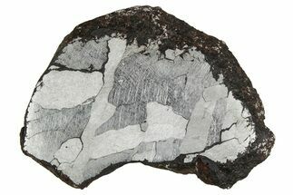 Etched Canyon Diablo Meteorite Slice ( g) - Arizona #356041