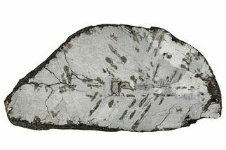 Etched Canyon Diablo Meteorite Slice ( g) - Arizona #356055