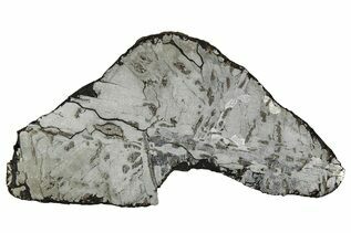 Canyon Diablo Meteorites For Sale