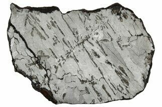 Etched Canyon Diablo Meteorite Slice ( g) - Arizona #356076