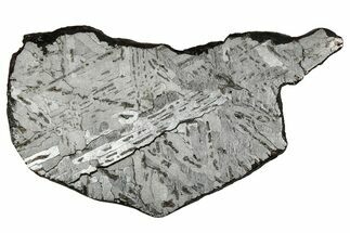 Etched Canyon Diablo Meteorite Slice ( g) - Arizona #356081