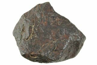 Canyon Diablo Iron Meteorite ( g) - Arizona #356105