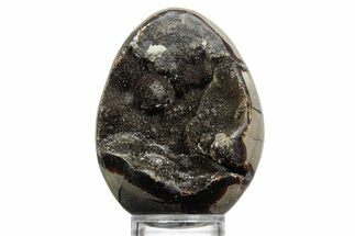Septarian Dragon Egg Geode - Sparkly Black Crystals #356162