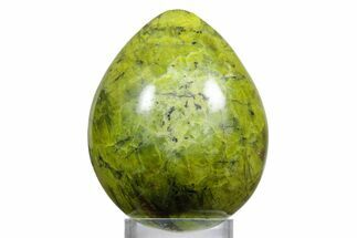 Polished Green Opal Egg - Madagascar #356161