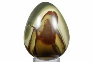 Polished Polychrome Jasper Egg - Madagascar #356198