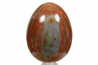 Colorful Polished Petrified Wood Egg - Arizona #356272