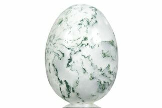Polished Tree Agate Egg - India #356337
