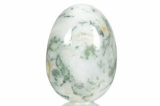 Polished Tree Agate Egg - India #356348
