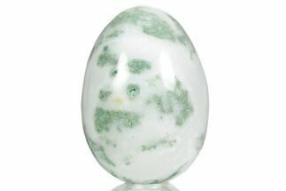 Polished Tree Agate Egg - India #356349