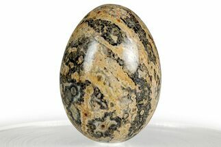 Polished Leopard Stone Egg - Mexico #356341