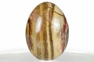 Polished Rainbow Jasper Egg - South Africa #356399