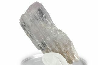 Colorless Kunzite Crystal ( g) - Afghanistan #356673