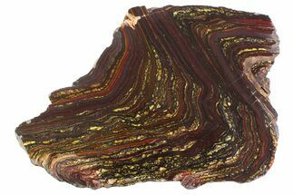 Polished Tiger Iron Stromatolite Slab - Billion Years #354934