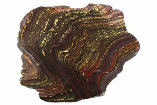 Polished Tiger Iron Stromatolite Slab - Billion Years #354938
