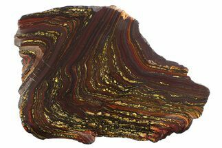 Polished Tiger Iron Stromatolite Slab - Billion Years #354942