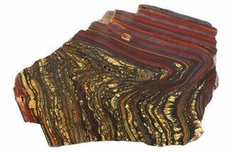 Polished Tiger Iron Stromatolite Slab - Billion Years #354944