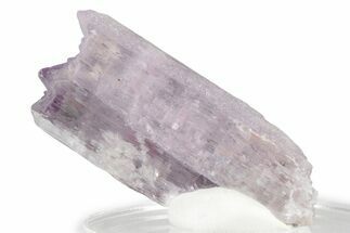 Lavender Kunzite Crystal ( g) - Afghanistan #356641