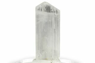 Colorless Kunzite Crystal ( g) - Afghanistan #356655