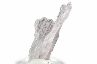 Lavender Kunzite Crystal ( g) - Afghanistan #356656
