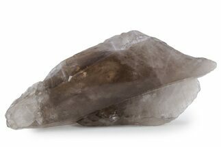 Natural, Dark Smoky Quartz Crystal - Colorado #356714