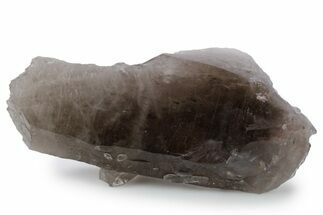 Natural, Dark Smoky Quartz Crystal - Colorado #356722