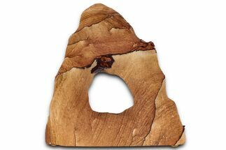 Tall Picture Sandstone Arch - Arizona #357194