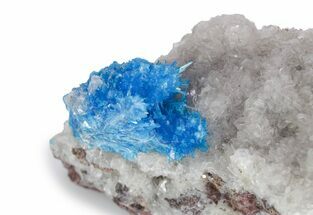 Vibrant Blue Cavansite Crystals on Sparkling Stilbite - India #357238