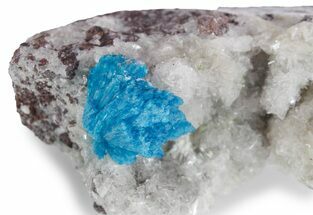 Vibrant Blue Cavansite Crystals on Sparkling Stilbite - India #357239