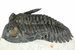 Recently Added For Sale