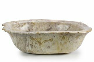 Petrified Wood (Tropical Hardwood) Bowl - Indonesia #357356