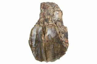 Recently Added For Sale