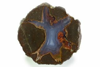Colorful Polished Thunderegg Half - Nevada #337763